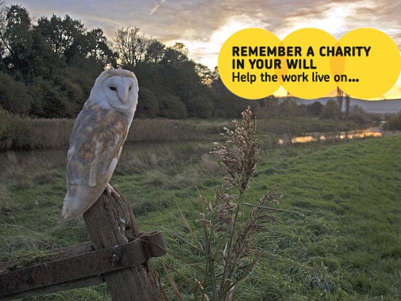 Remember Sussex Wildlife Trust